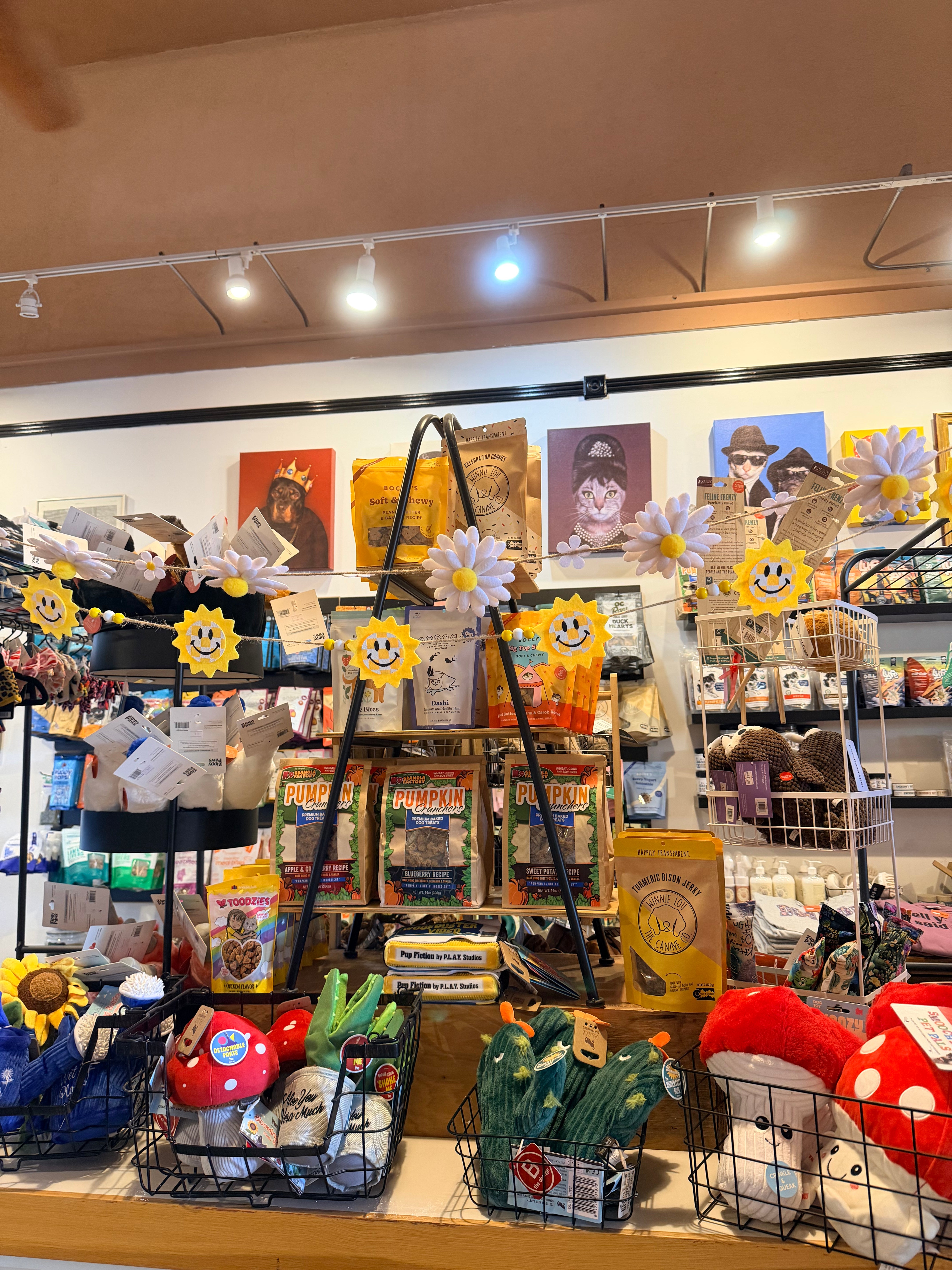 Kiwi's Distinguished Pet Goods – Kiwi's Distinguished Pet Goods