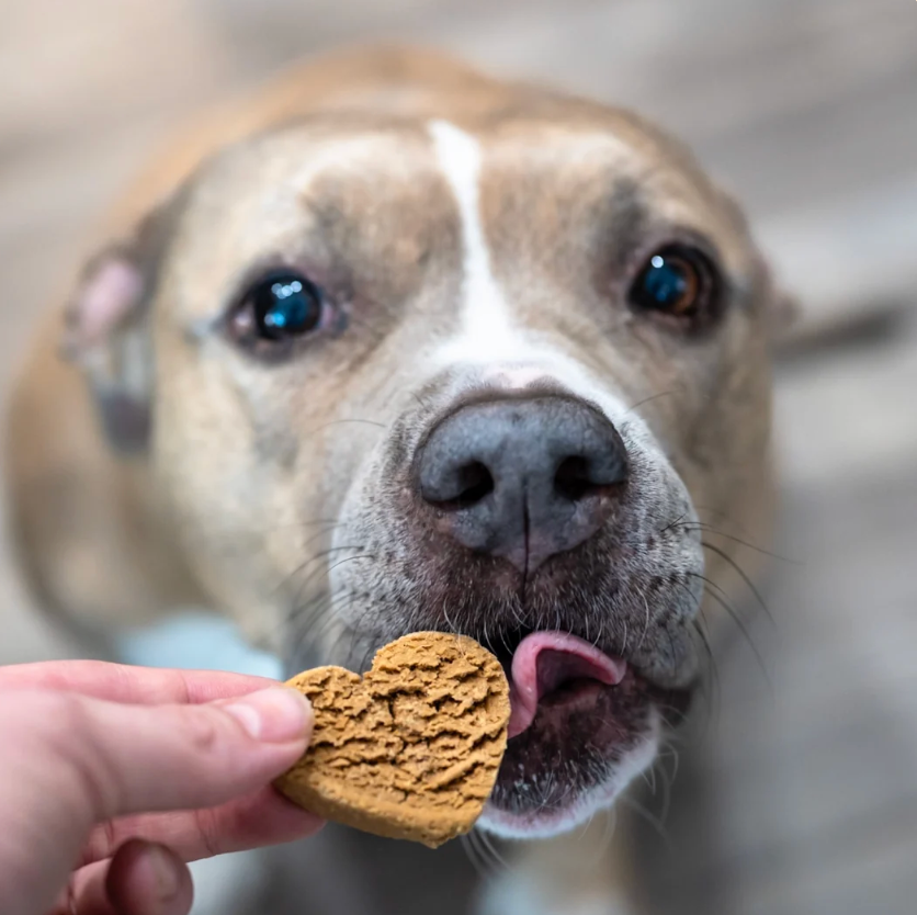 Suzie’s 4MG Heart Biscuits