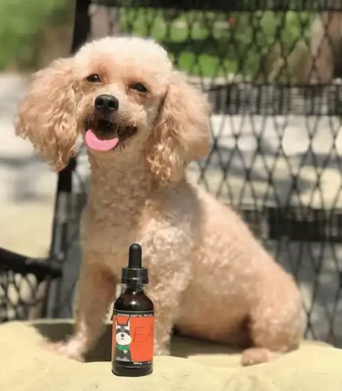 Dog Health Oil