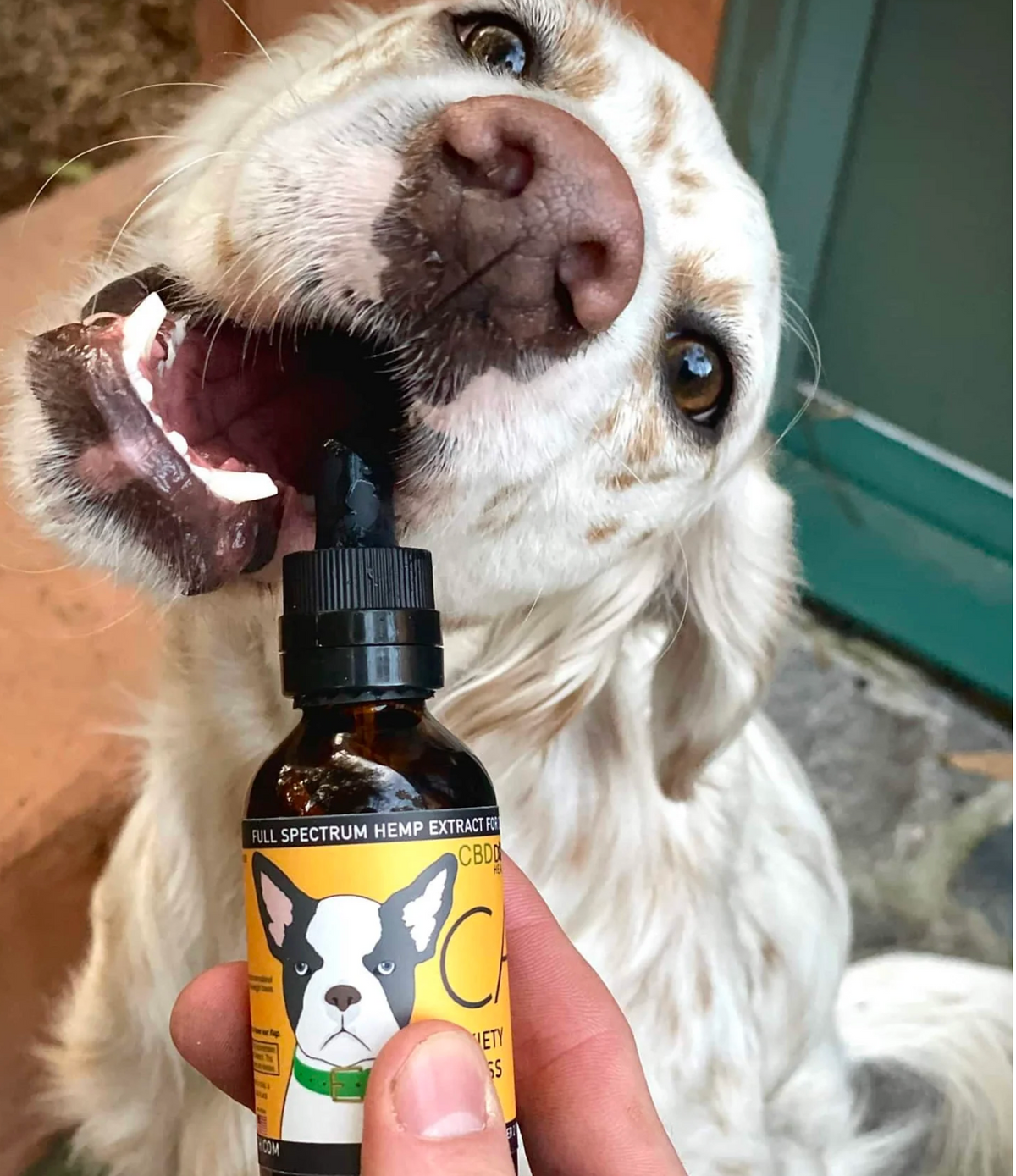 Dog Health Oil