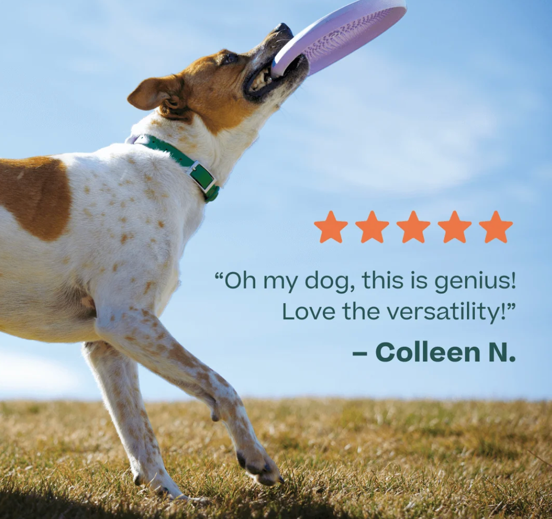 Woof Fly N' Feed