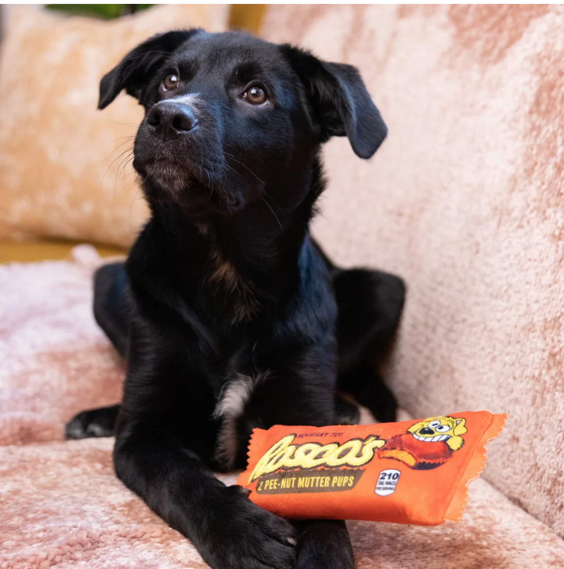 Huxley Rosco's Pee-Nut Mutter Pups XS