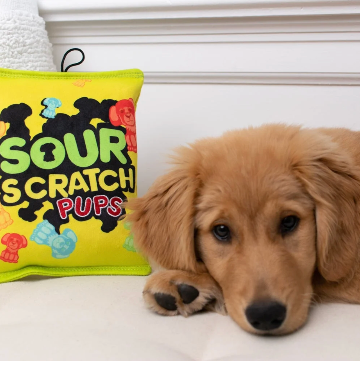 Huxley & Kent Sour Scratch Pups (Double Sided)