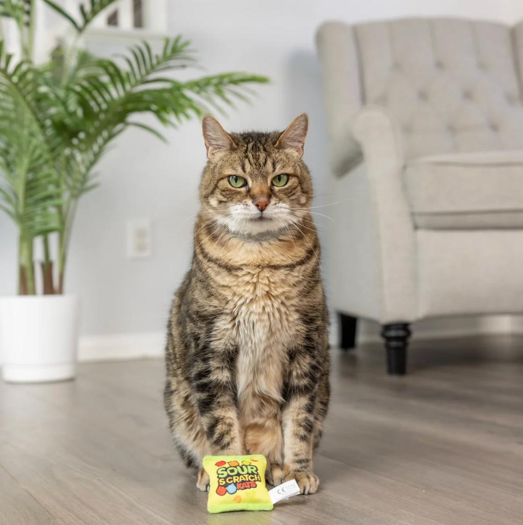 Huxley & Kent Sour Scratch Kats Cat Toy