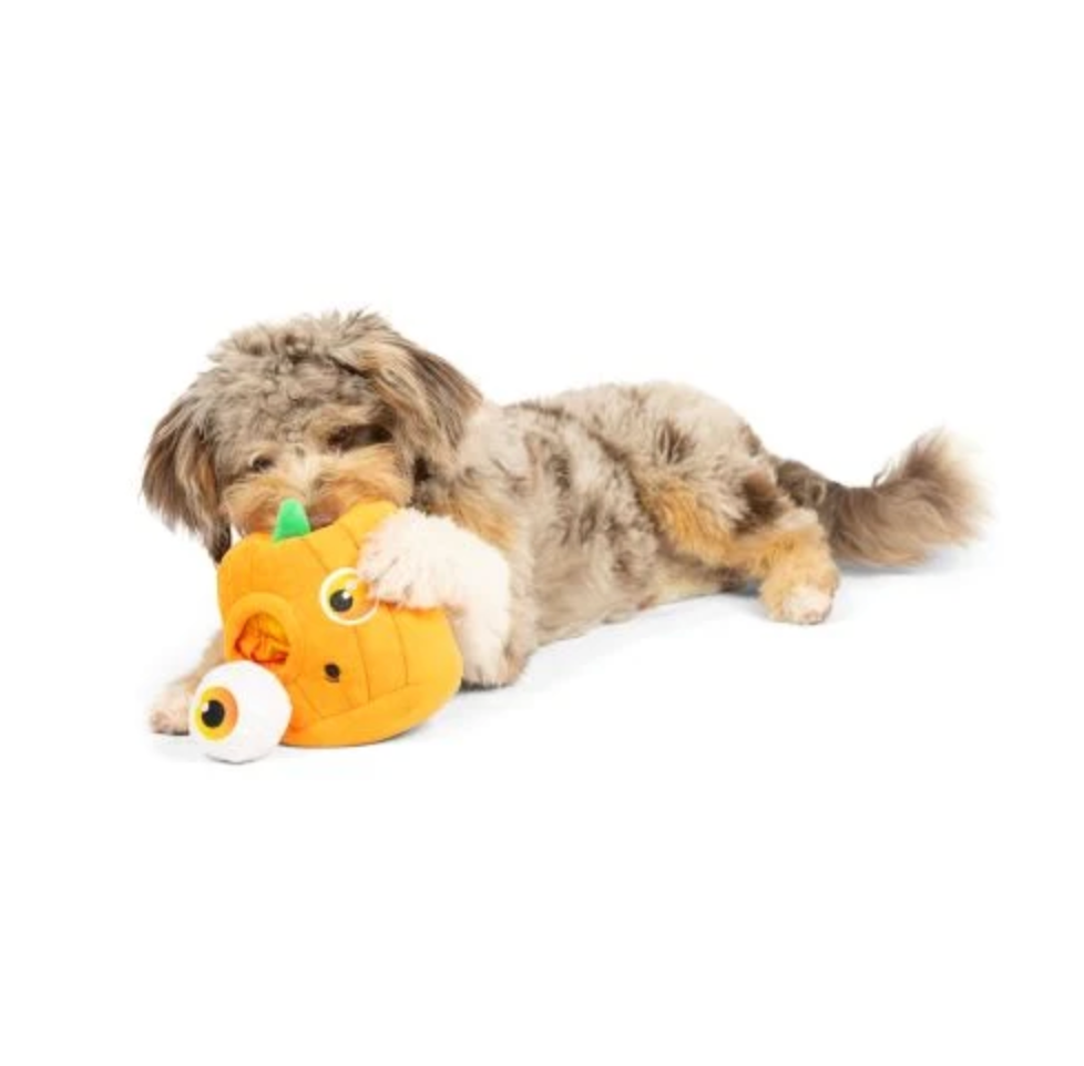 Huxley & Kent Pop 'n Fetch Pop-Eye Dog Toy