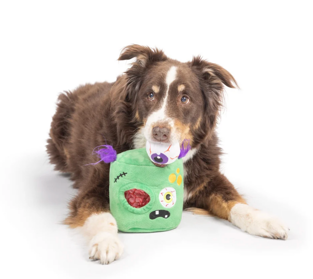 Huxley & Kent Pop 'n Fetch Pop-Eye Dog Toy
