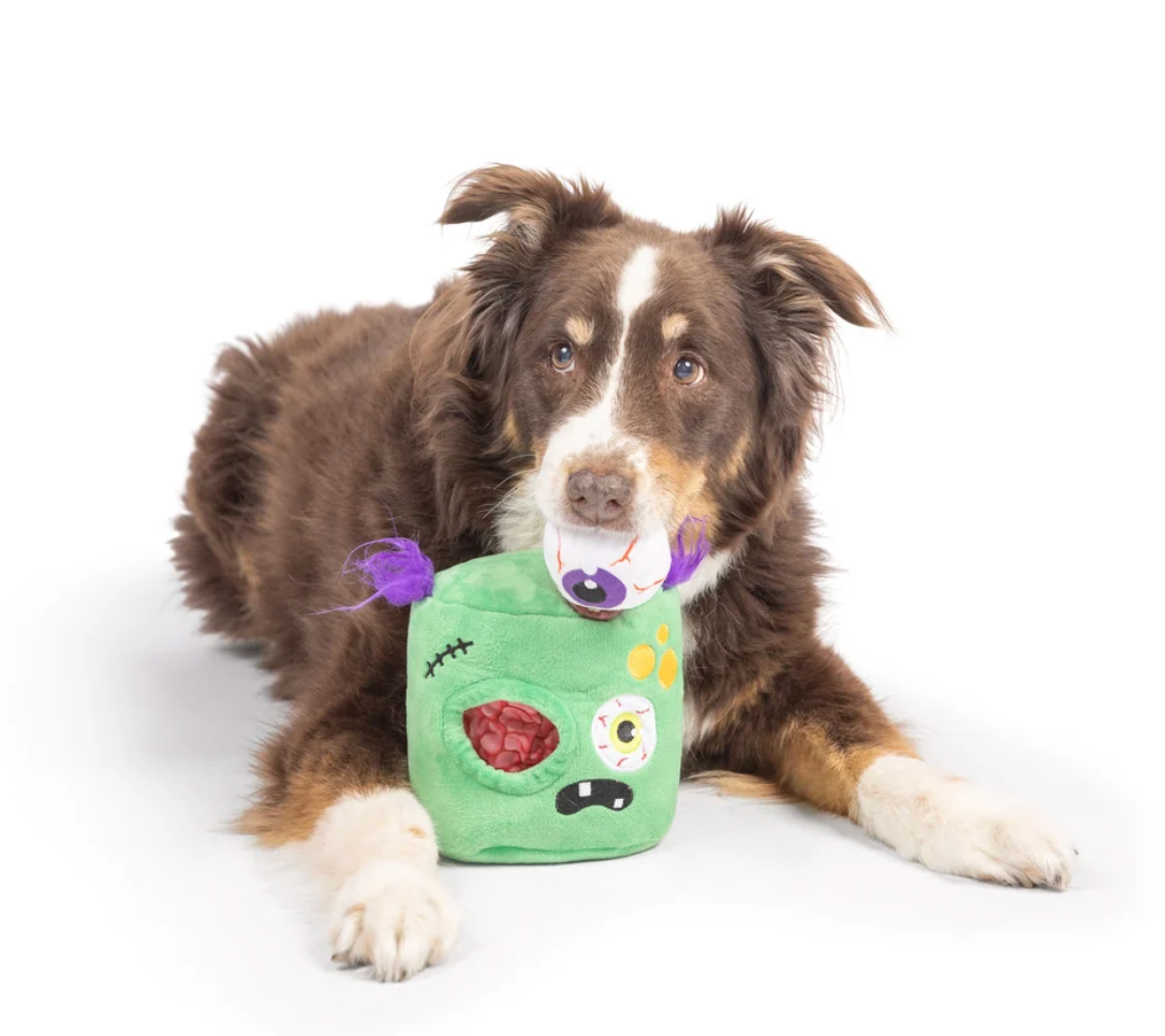 Huxley & Kent Pop 'n Fetch Pop-Eye Dog Toy