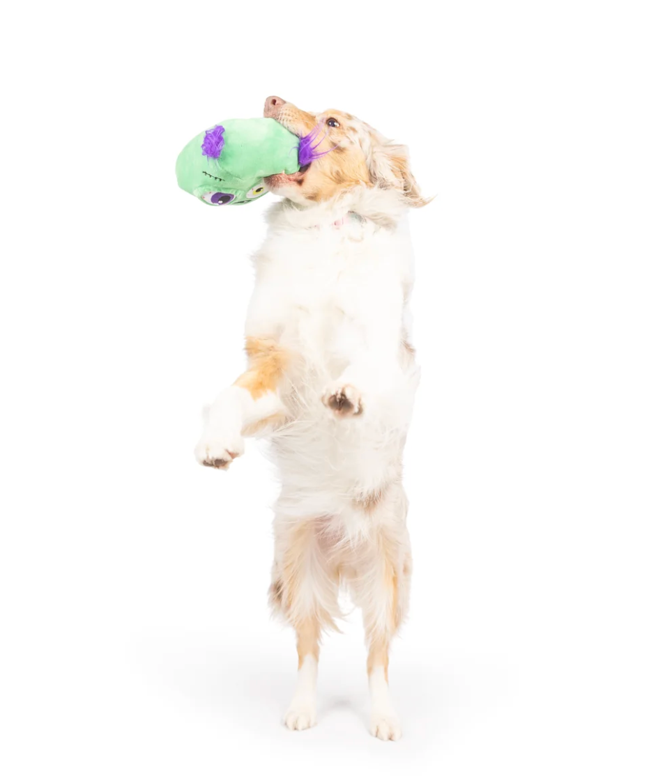 Huxley & Kent Pop 'n Fetch Pop-Eye Dog Toy
