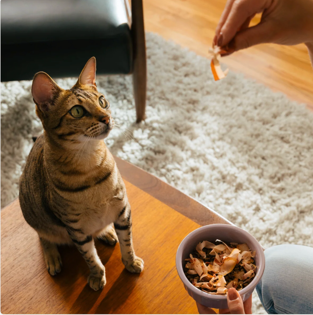Cat Sushi Bonito Flakes