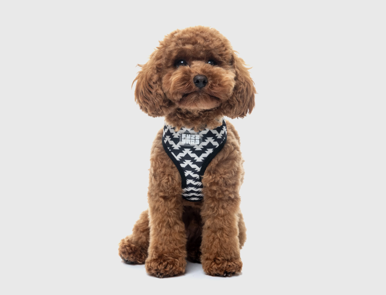 FuzzYard Intersect - Harness