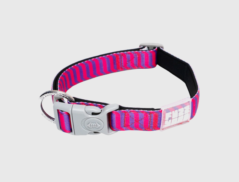FuzzYard Vaporwave - Dog Collar