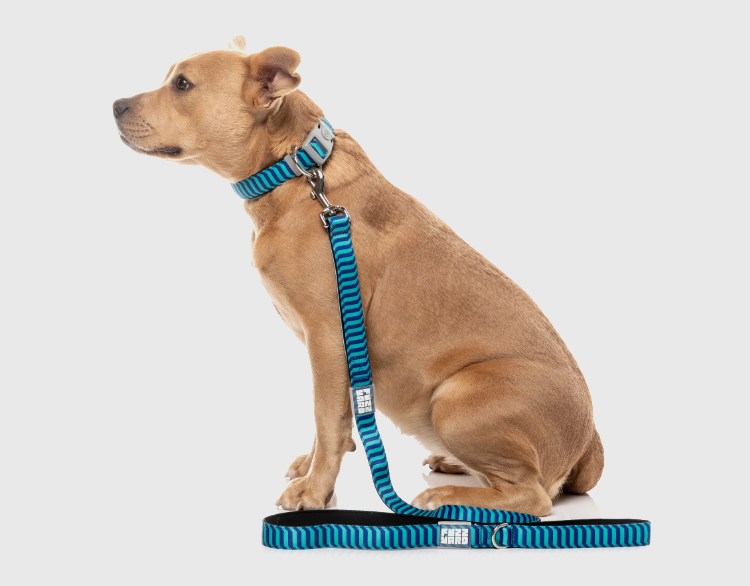 Vaporwave - Dog Lead