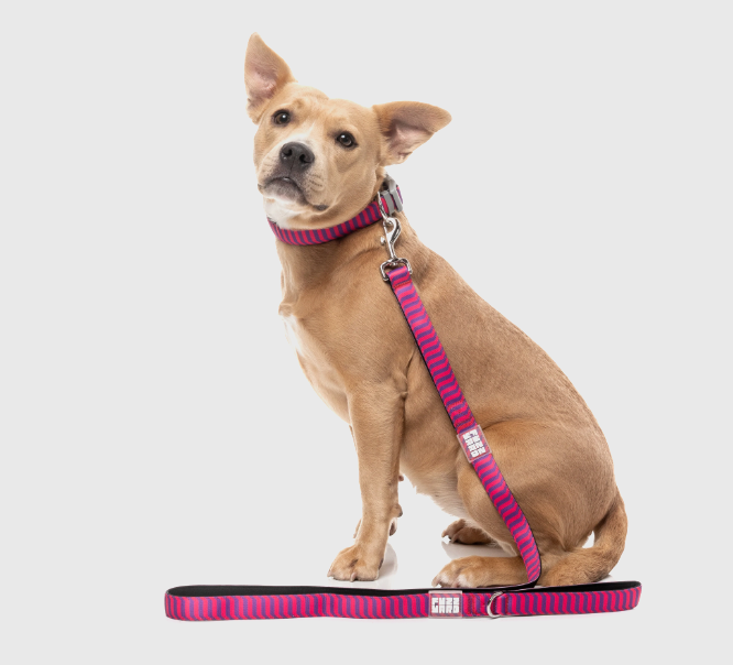 Vaporwave - Dog Lead