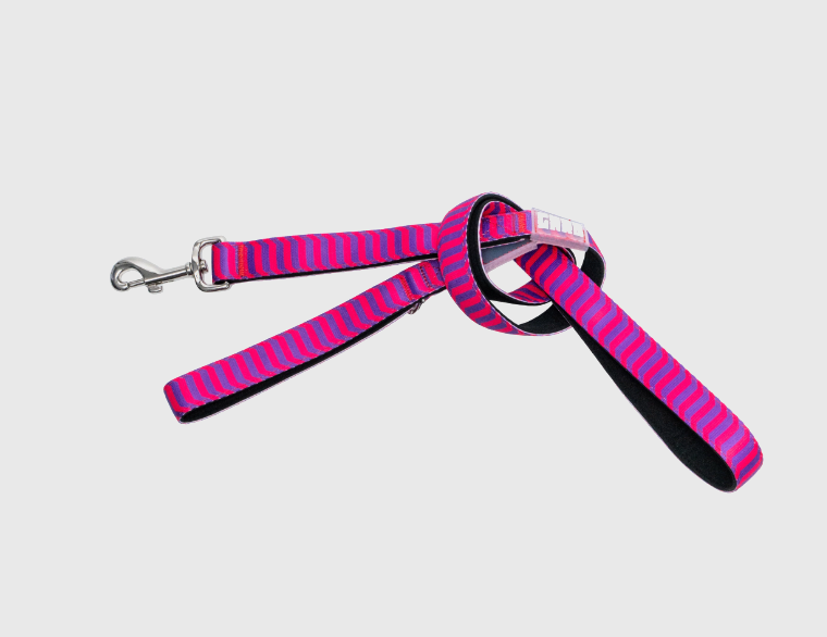 Vaporwave - Dog Lead