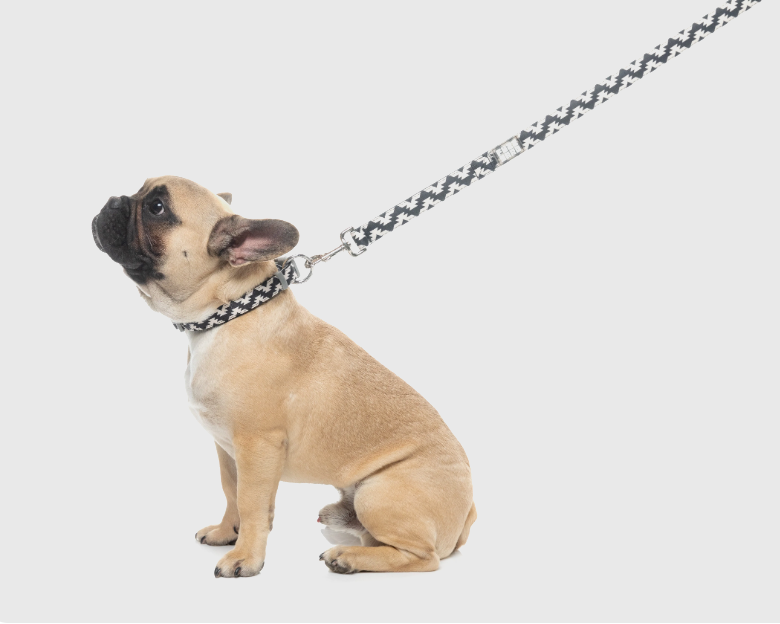 FuzzYard Intersect - Dog Lead