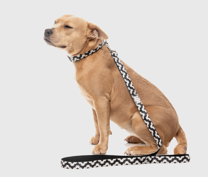 FuzzYard Intersect - Dog Lead