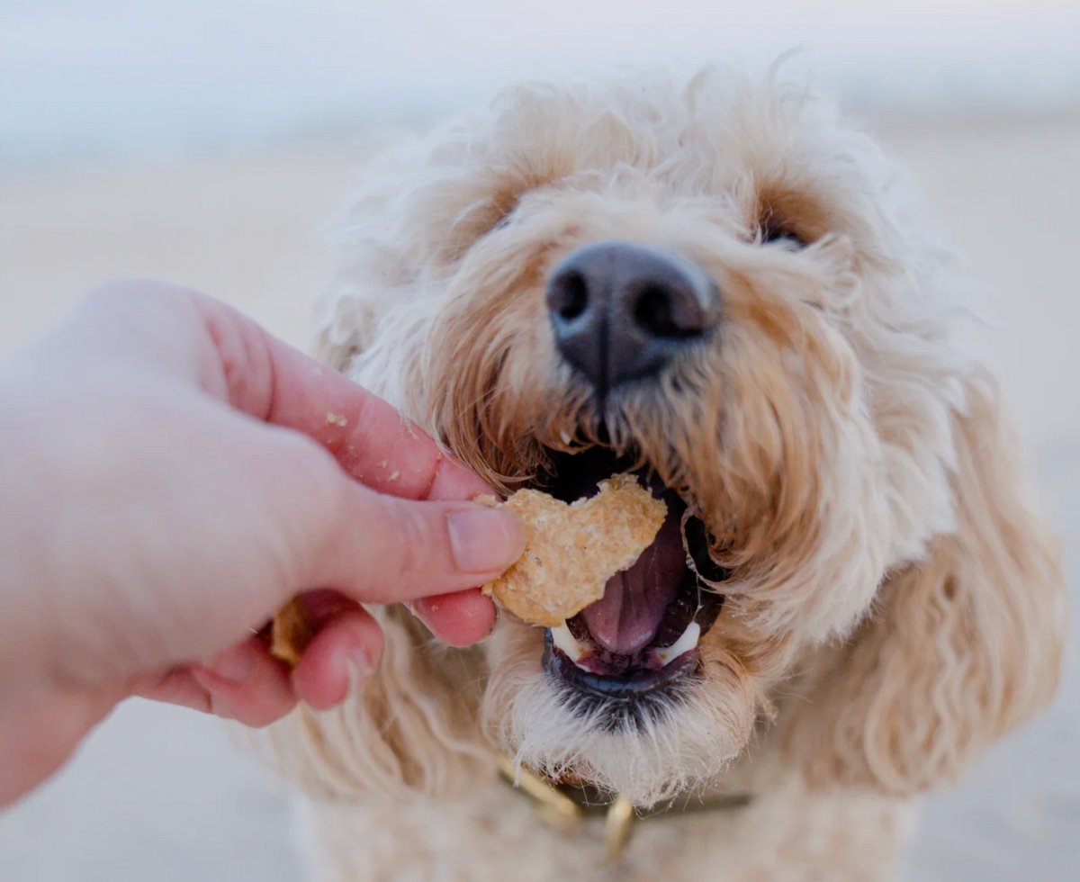 Suzie’s Crunchin’s Chicken Chips 3MG