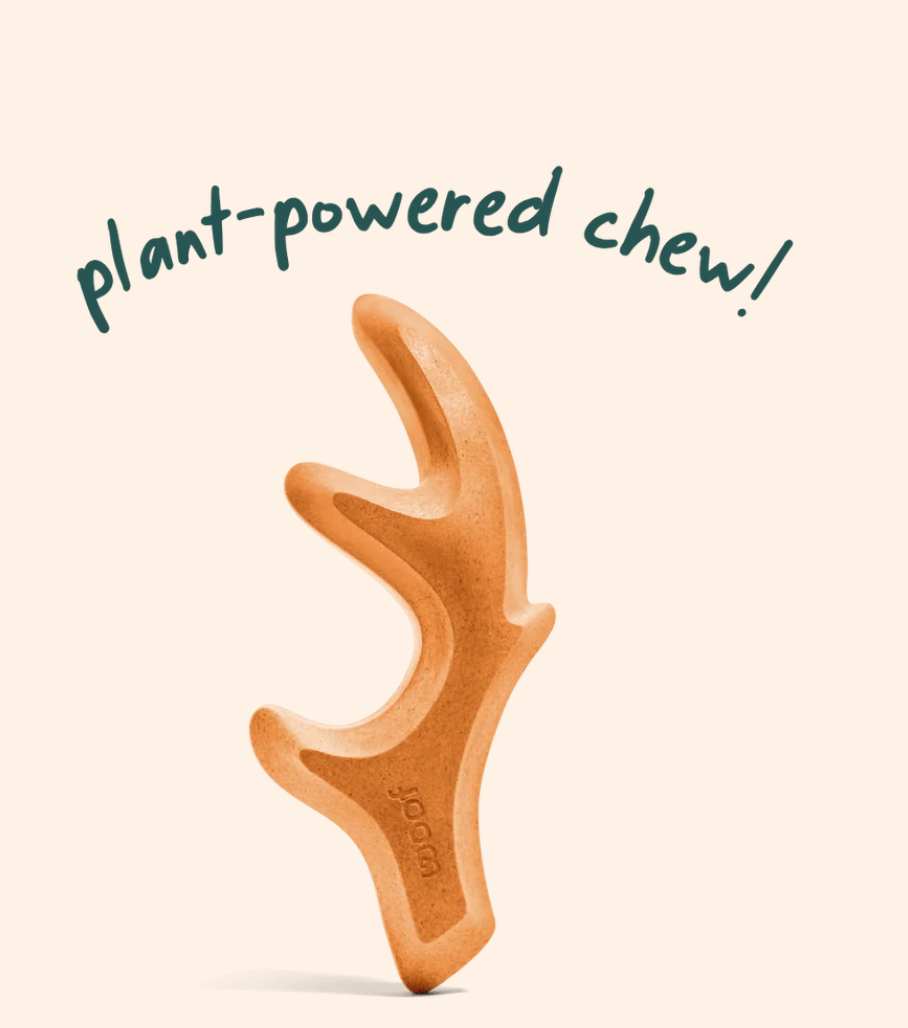 Woof Honest Chew