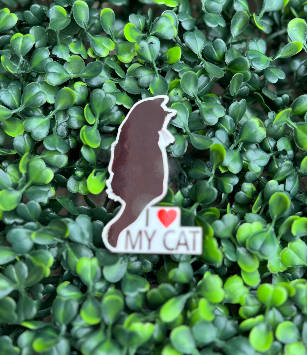 I love my pet magnet