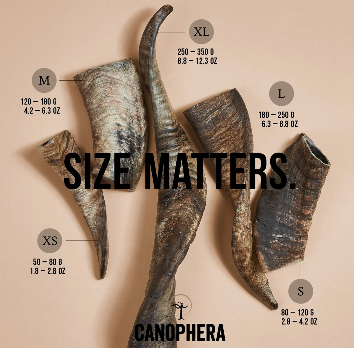 Canophera Sheep Horn Chew