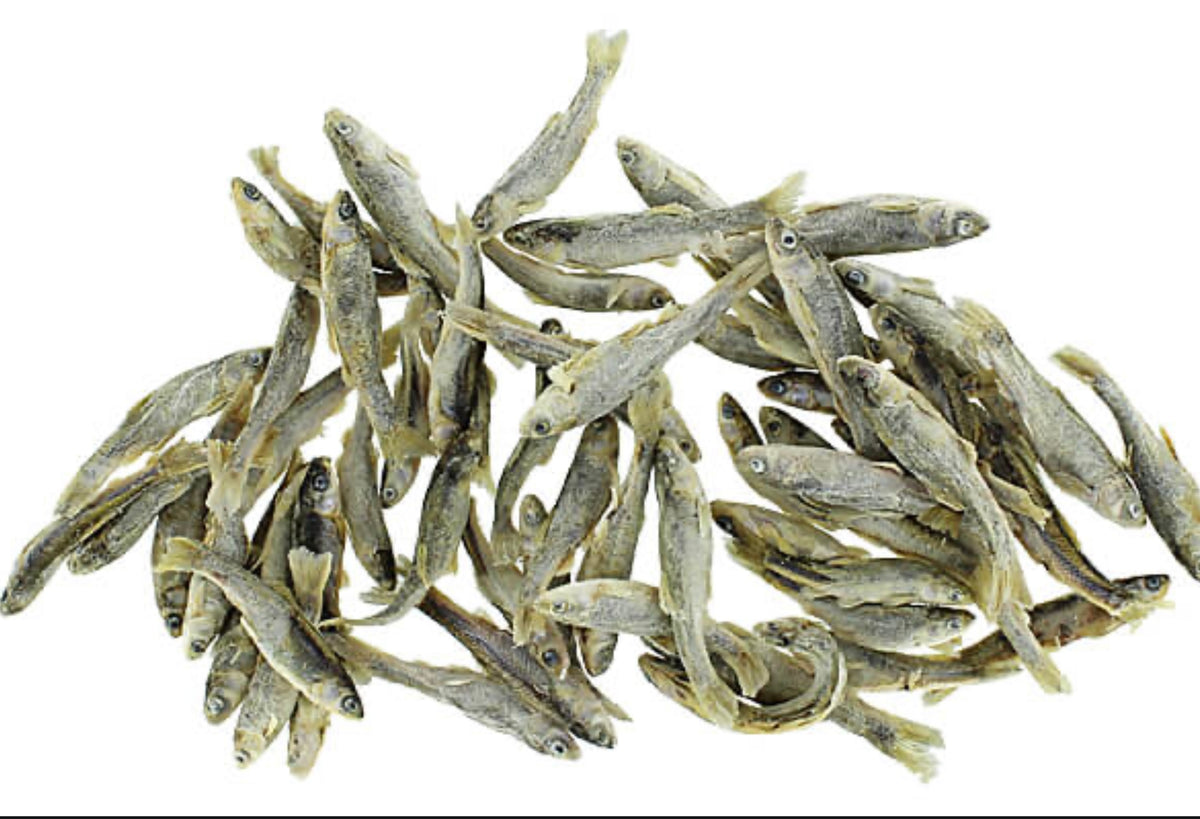 Bulk Minnows