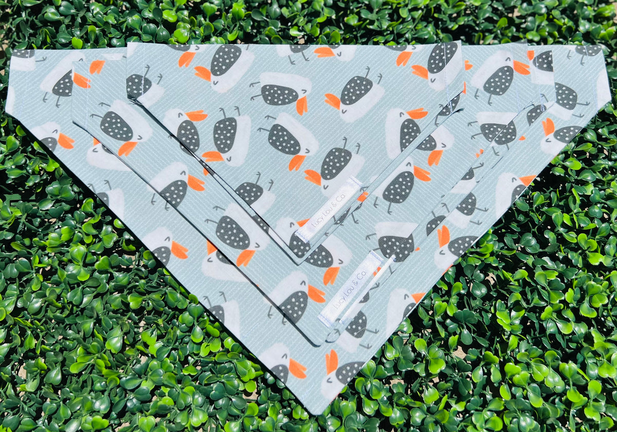 Lucy Lou and Co. Seagulls Bandana