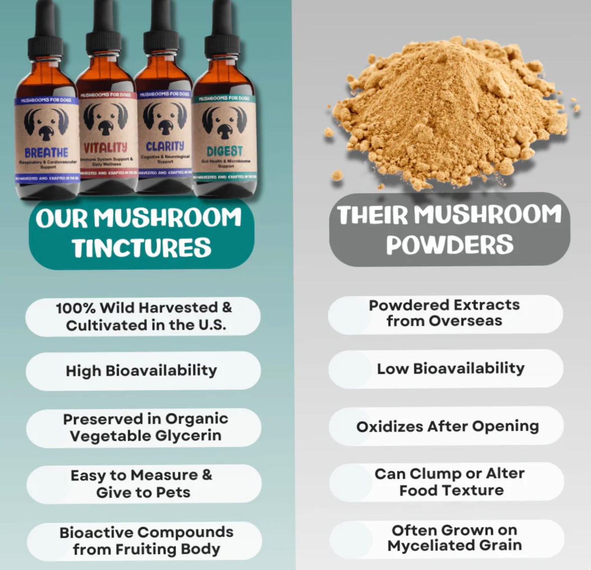 MyCoDog Mushroom Tinctures
