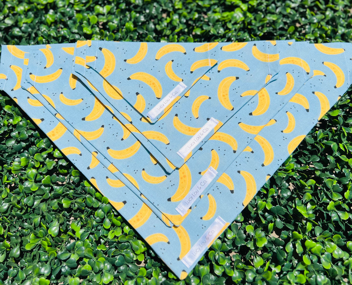 Lucy Lou and Co. Blue Banana Bandana