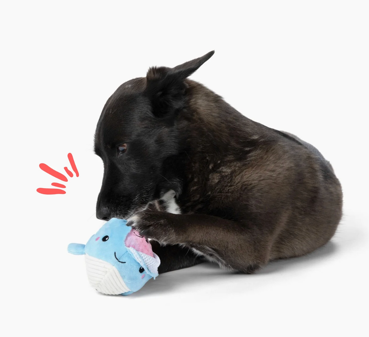 Patchwork Pet Prickles Destroyer Toys
