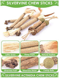 Silvervine Chew Sticks