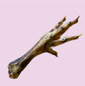 Poultry Feet