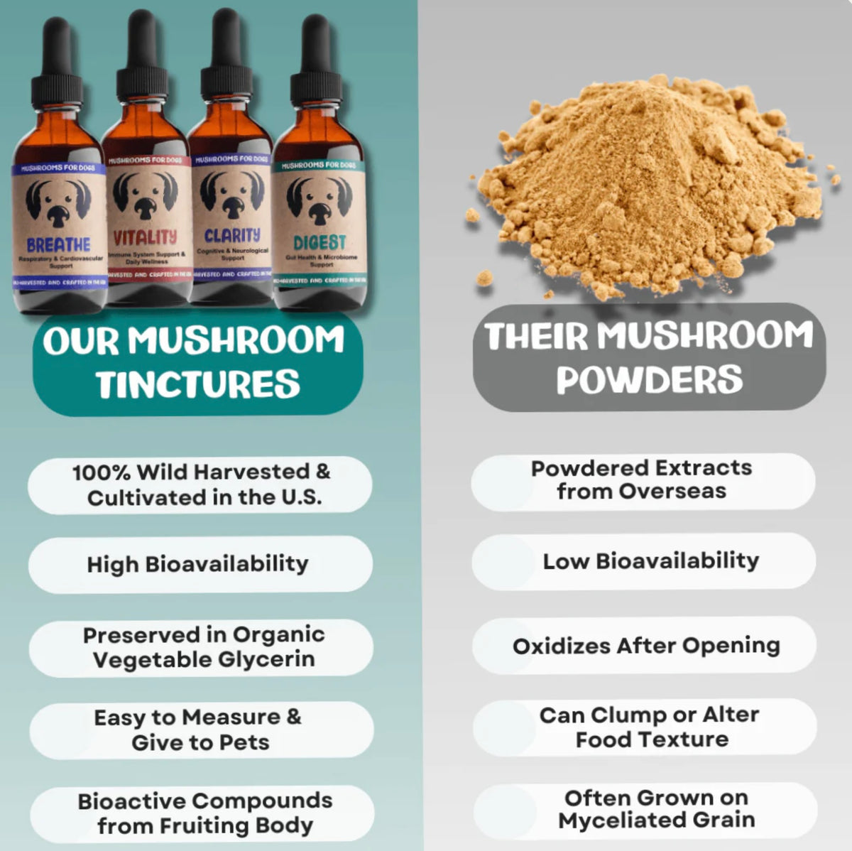 MyCoDog Mushroom Tinctures