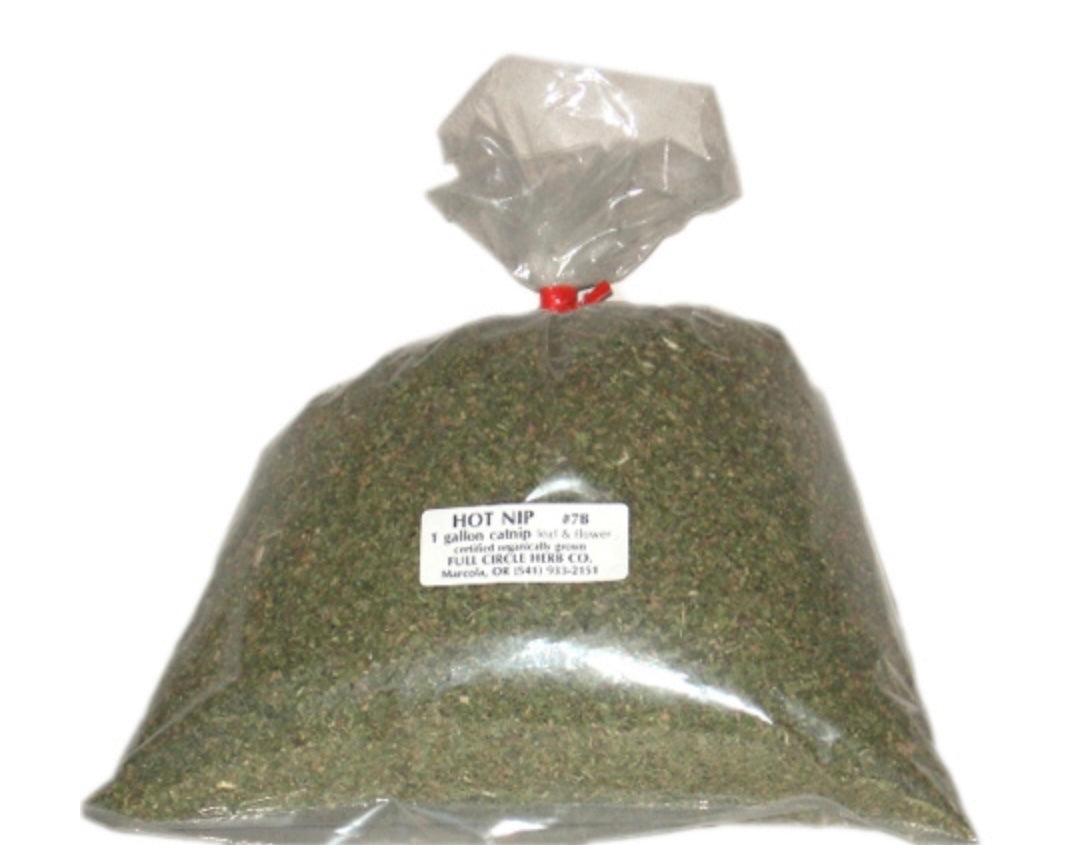 Bulk Catnip