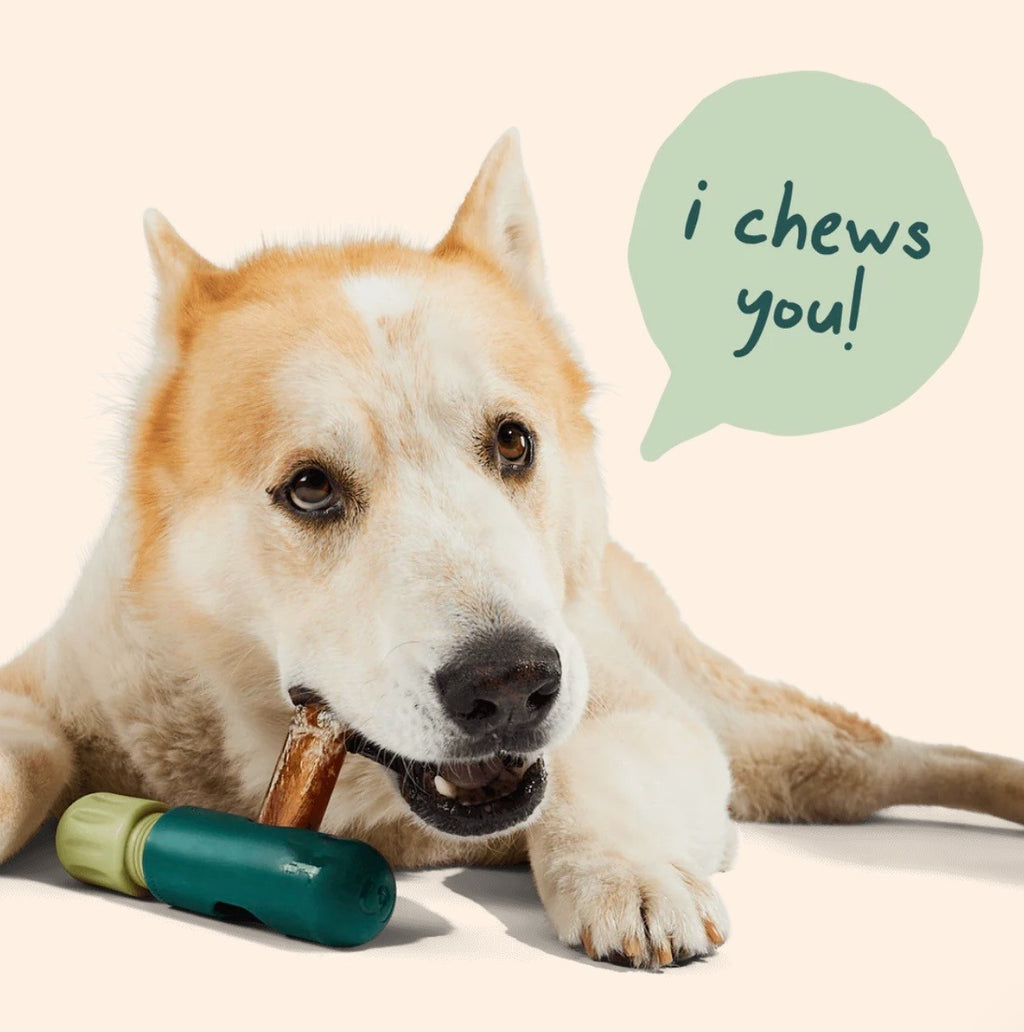 Woof Free Range Bully Sticks 6"- 5 pack