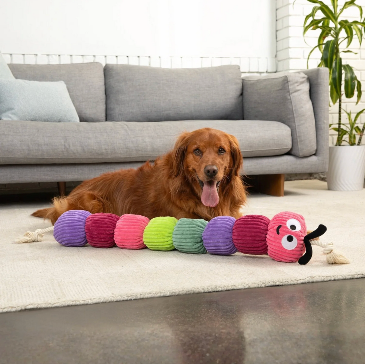 Patchwork Pets Rope Caterpillar 45"