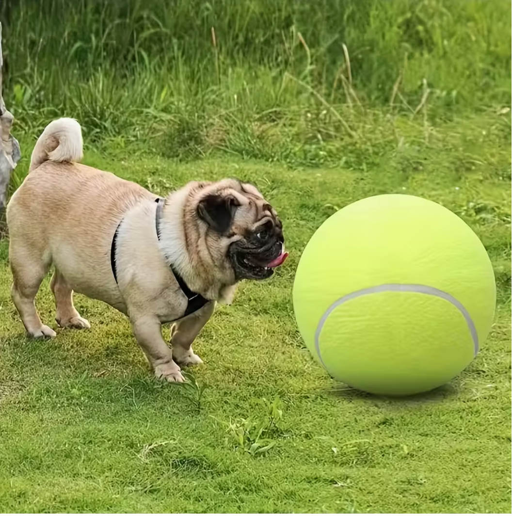 Giant Tennis Ball