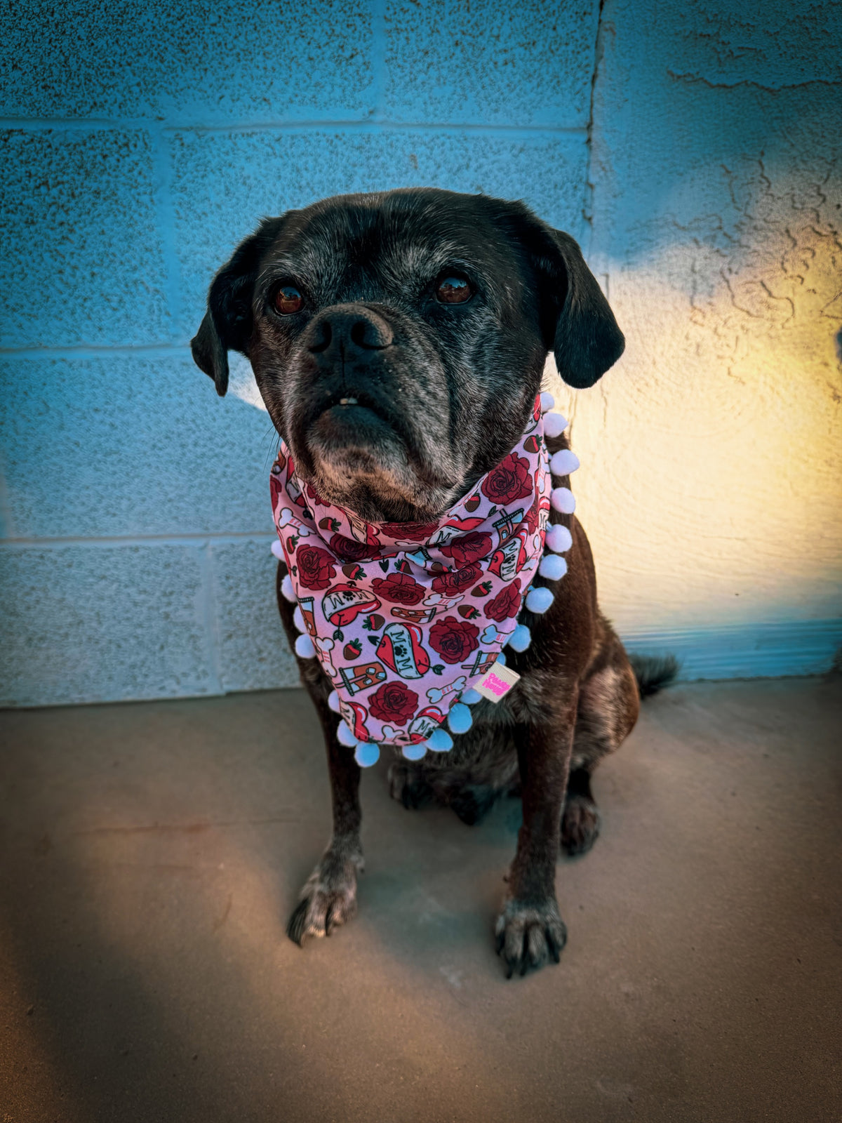 Valentine’s Day Bandanas