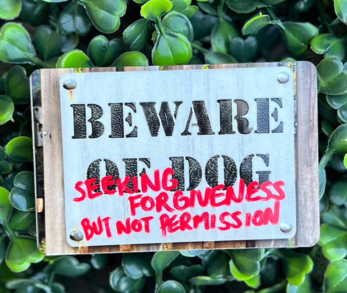 Beware Magnets
