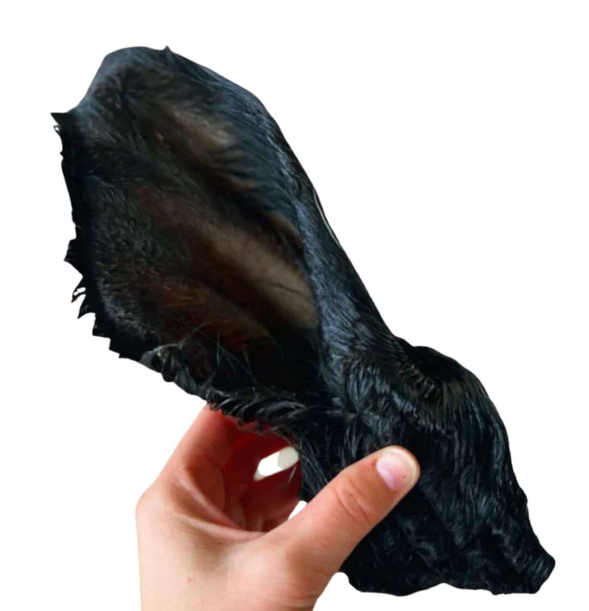 Beef Ear With Hair