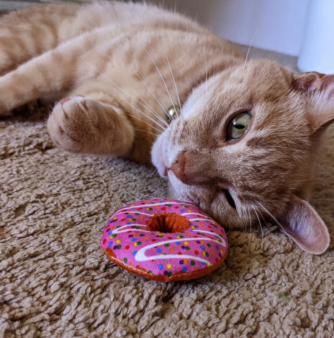 Strawberry Donut Cat Toy