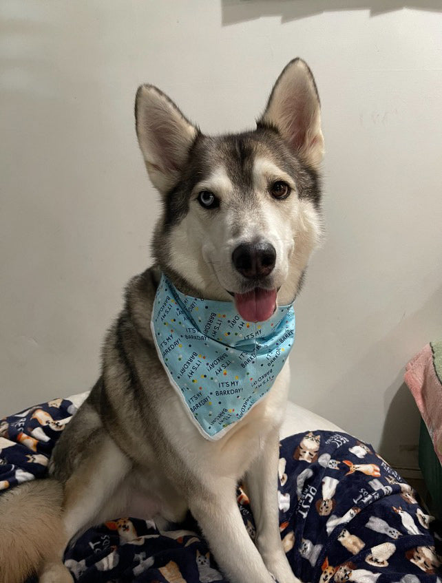 Gotcha Day Bandana