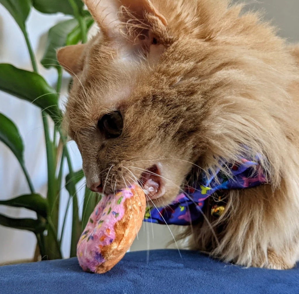 Strawberry Donut Cat Toy