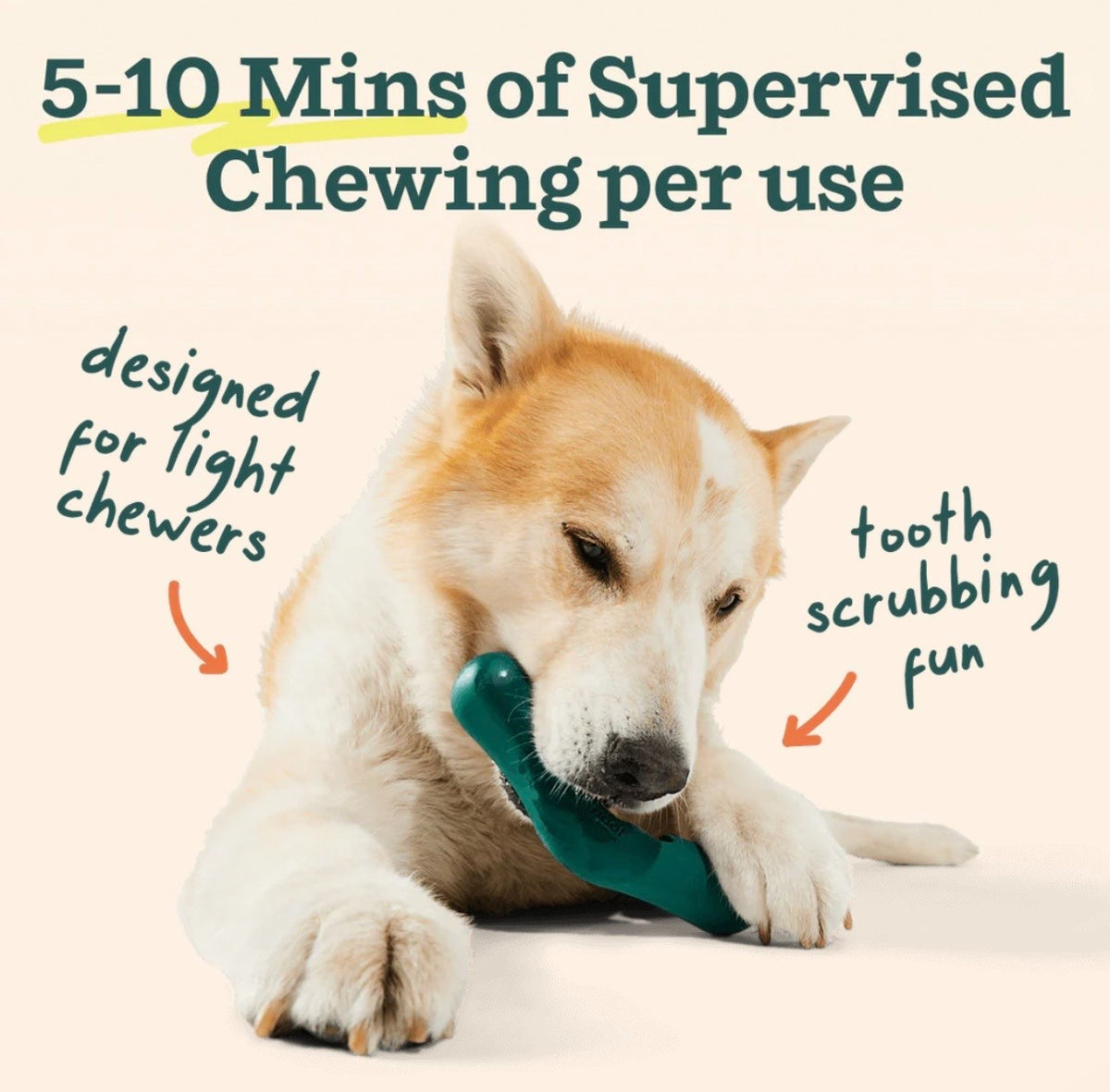 Woof Bite n' Brush