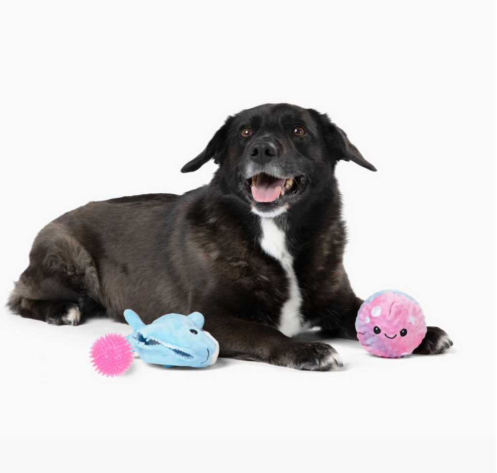 Patchwork Pet Prickles Destroyer Toys