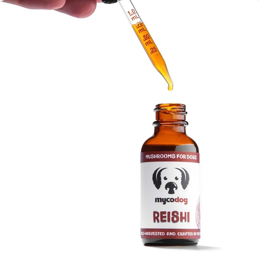 MyCoDog Mushroom Tinctures