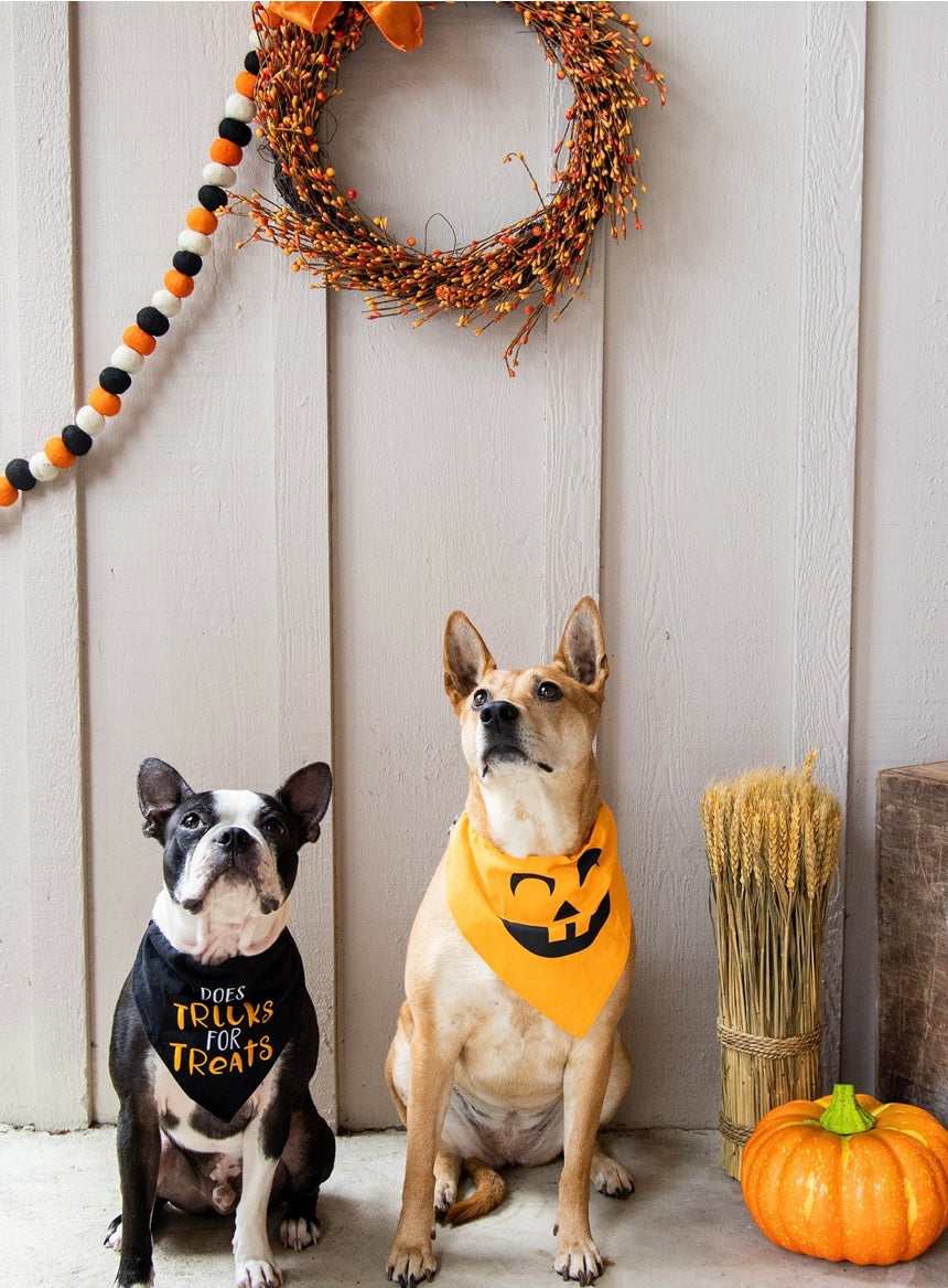 Fall Bandanas