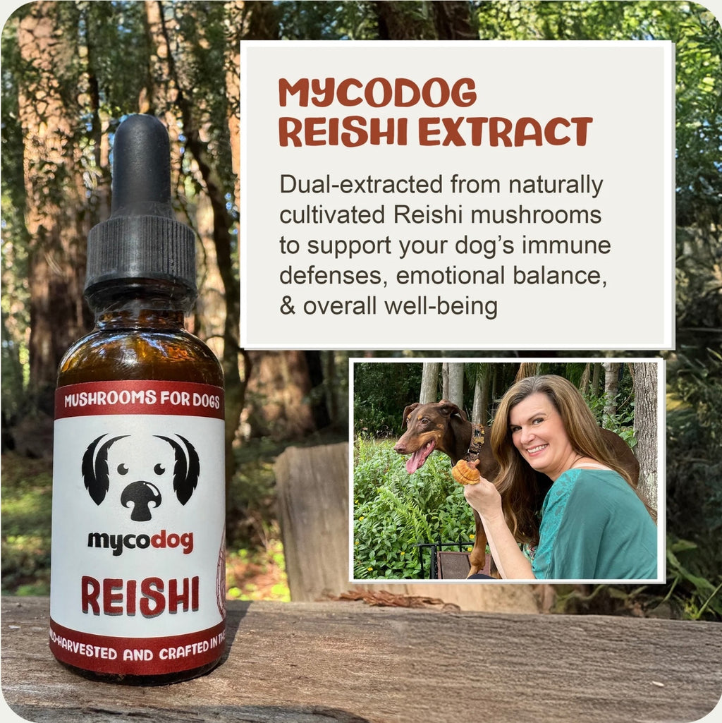 MyCoDog Mushroom Tinctures