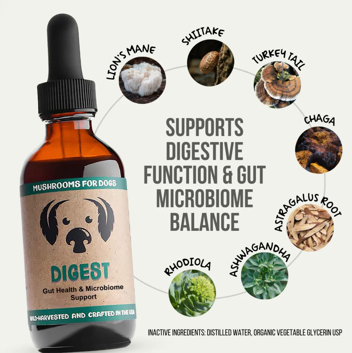 MyCoDog Mushroom Tinctures