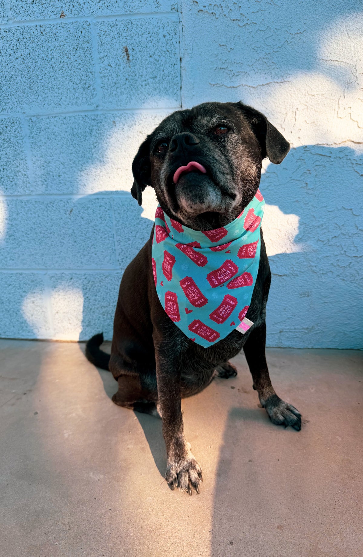Valentine’s Day Bandanas