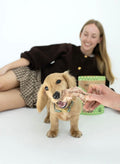Winnie Lou Bison Tendons